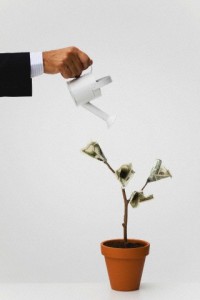 Businessman watering potted tree with hundred dollar bills growing on it