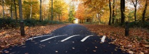Empty Road With Speed Bump In Autumn